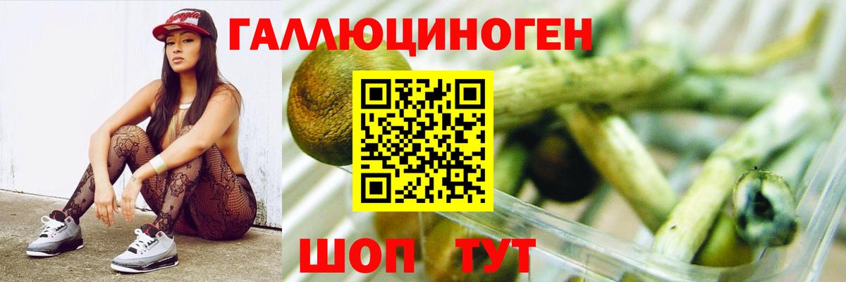 Галлюциногенные грибы GOLDEN TEACHER  Вход с VPN  Хасавюрт  Галлюциногенные грибы Cubensis 